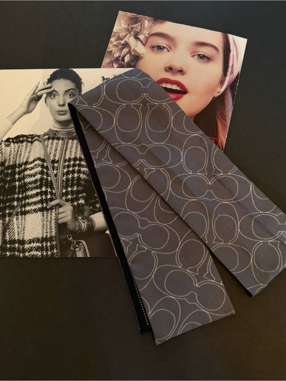 Coach Gray & Black Signature Skinny Scarf